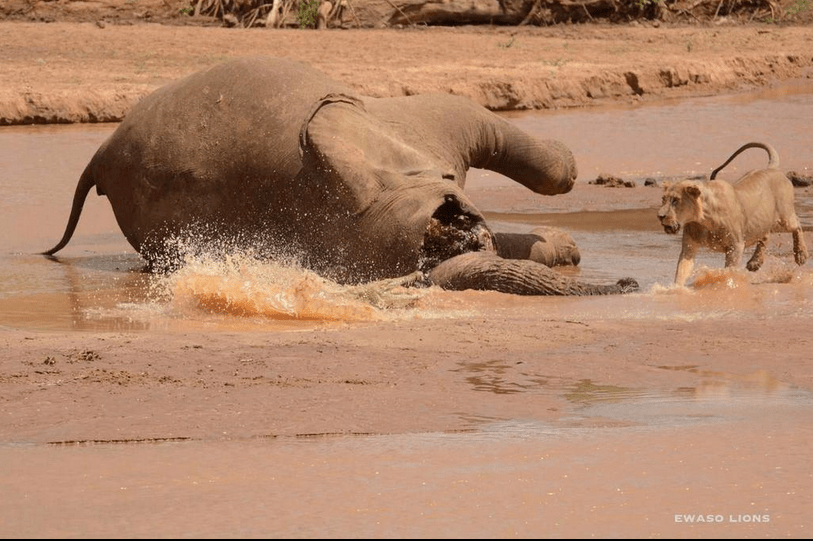 Screenshot 2014-08-15 17.39.21