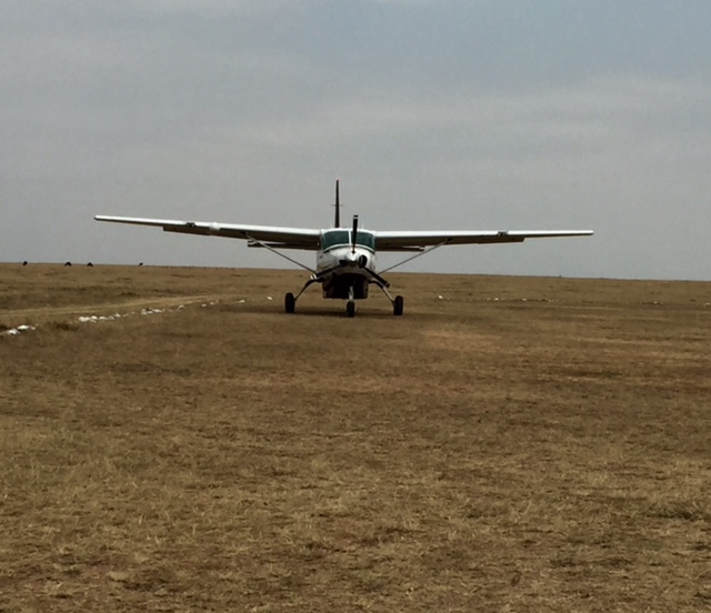 Flying from a grass strip